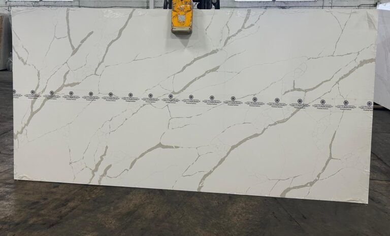 PHOTO-2026-02-16-10-45-06