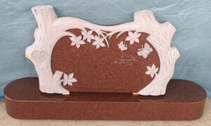 PHOTO-2026-02-24-04-59-47