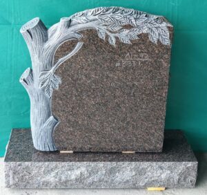 PHOTO-2026-02-24-04-59-48